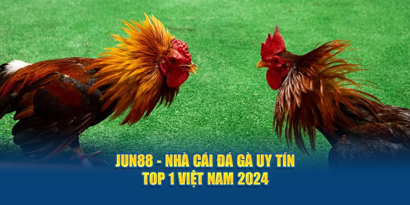 Jun88 - Nhà Cái Đá Gà Uy Tín, Chất Lượng Top 1 Việt Nam 2024 2 jun88 nha cai da ga uy tin top 1 viet nam 2024